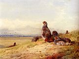 Archibald Thorburn Canvas Paintings - Red Partridges